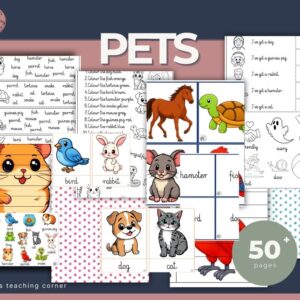 PETS – English Vocabulary Activities