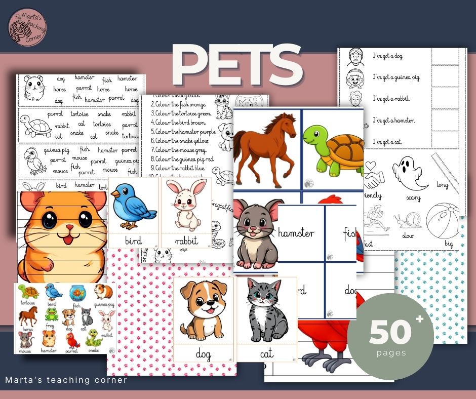 PETS – English Vocabulary Activities